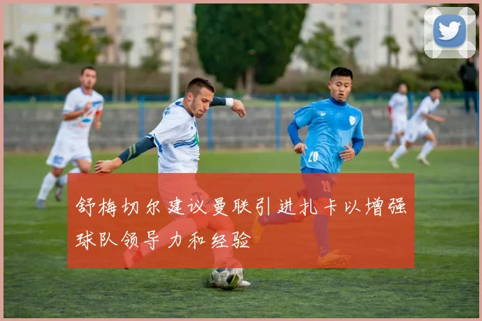 舒梅切尔建议曼联引进扎卡以增强球队领导力和经验