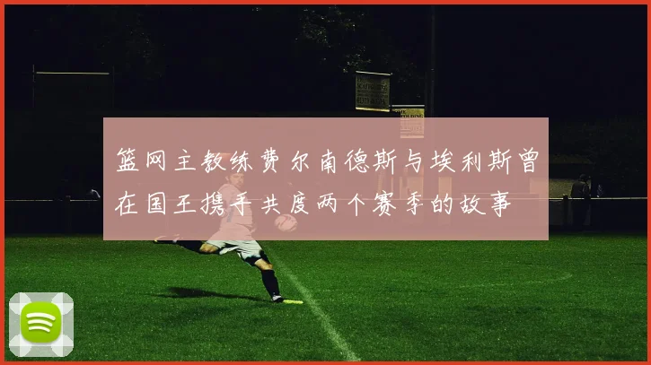篮网主教练费尔南德斯与埃利斯曾在国王携手共度两个赛季的故事