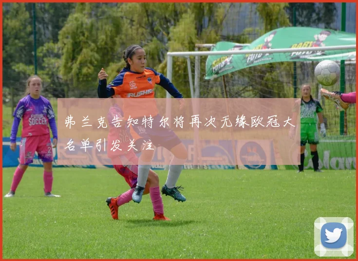 弗兰克告知特尔将再次无缘欧冠大名单引发关注